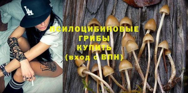 герыч Иннополис