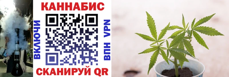 Марихуана Bruce Banner  Купить  Лихославль 